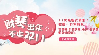 购琴福利不止“双11”,整个11月满满惊喜等着你!