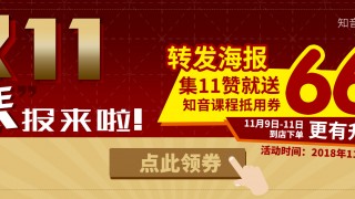 双11最新“琴”报！660元知音课程抵用券限时领！